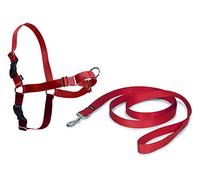 PetSafe Arnés antitirones Easy Walk – 4 puntos de ajuste, evita asfixia – Rojo Pequeño (S)