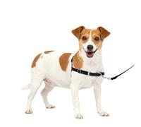 ARNES EASY WALK PEQUEÑO. NEGRO