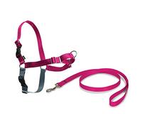 PetSafe Easy Walk - Arnés Antitirones para Perros, 4 Puntos de Ajuste, Adiestramiento de Perros, Evita Asfixia, Fácil de Poner y Quitar - Frambuesa - Grande, L
