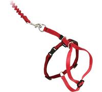 PetSafe Easy Walk, Arnés para Gatos, con Correa Elástica, Arnés de Seguridad, Ajustable, Cómodo, con Sección Elástica - Rojo, M