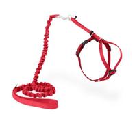 PetSafe Easy Walk, Arnés para Gatos, con Correa Elástica, Arnés de Seguridad, Ajustable, Cómodo, con Sección Elástica - Rojo, S