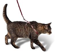 PetSafe Easy Walk, Arnés para Gatos, con Correa Elástica, Arnés de Seguridad, Ajustable, Cómodo, con Sección Elástica - Rojo, L (CWMK-L-RED-19)