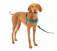 PetSafe Easy Walk - Arnés para Perro sin tirones, el Mejor arnés para Ayudar a Dejar de Tirar, Toma el Control y enseña Mejores Modales con la Correa, Ayuda a Evitar Que Las Mascotas tiren en Paseos,