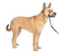 PetSafe Easy Walk - Bozal para Perros, Collar de Cabeza Antitirones Para Perros, Ajustable, Acolchado, Con Correa De Paseo Incluida, Negro, M