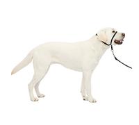 PetSafe Easy Walk - Bozal para Perros, Collar de Cabeza Antitirones para Perros, Ajustable, Acolchado, con Correa De Paseo Incluida, Negro, L