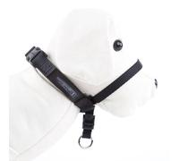 PetSafe Easy Walk Collar de Adiestramiento Negro para perros