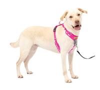 PetSafe Easy Walk Comfort - Arnés antitirones de adiestramiento, Acolchado Todo el Cuerpo, Resistente, 5 Puntos de Ajuste, Ribete Reflectante, Hebillas de Cierre rápido, asa, Uso Diario, Rosa, L