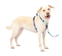 PetSafe Easy Walk Comfort - Arnés para Perro sin tirones Acolchado de Cuerpo Completo, Mejores Paseos en el Primer Uso, 5 Puntos de Ajuste, Talla L, Color Azul