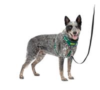 PetSafe Easy Walk Comfort - Arnés para Perro sin tirones, Acolchado de Cuerpo Completo, Mejores Paseos en el Primer Uso, 5 Puntos de Ajuste, tamaño Mediano/Grande, Color Verde