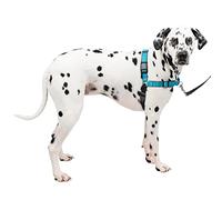 PetSafe Easy Walk Deluxe Arnés Antitirones para Perros, Adiestramiento de Perros, Evita Asfixia, Azul, Grande, L