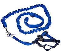 PetSafe Easy Walk ew-ch-s-bl-45 Gato arnés y Plomo pequeñas Azul