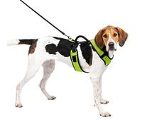 PetSafe Easysport - Arnés Grande, Manzana
