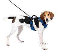 PetSafe EasySport - Arnés para Perros Acolchado Ajustable con Asa de Control y Cinta Reflectante - Azul - Grande, L