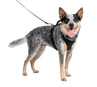 PetSafe EasySport - Arnés para Perros Acolchado Ajustable con Asa de Control y Cinta Reflectante - Negro - Mediano, M