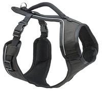 PetSafe EasySport - Arnés para Perros Acolchado Ajustable con Asa de Control y Cinta Reflectante - Negro - Pequeño, S