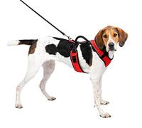 PetSafe EasySport - Arnés para Perros Acolchado Ajustable con Asa de Control y Cinta Reflectante - Rojo - Grande, L