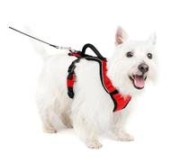 PetSafe EasySport - Arnés para Perros Acolchado Ajustable con Asa de Control y Cinta Reflectante - Rojo - Pequeño, S