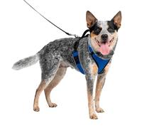 PetSafe EasySport - Arnés para Perros Acolchado Ajustable con Asa de Control y Cinta Reflectante - Azul - Mediano, M