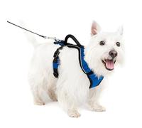 PetSafe EasySport - Arnés para Perros Acolchado Ajustable con Asa de Control y Cinta Reflectante - Pequeño - Azul