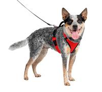PetSafe EasySport - Arnés para Perros Acolchado Ajustable con Asa de Control y Cinta Reflectante - Rojo - Mediano, M