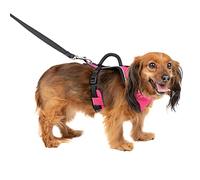 PetSafe Easysport Arnés XS, Color Rosa