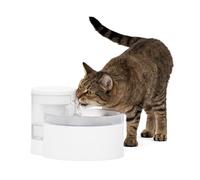 PetSafe Fontaine à Eau Outlast Sans Pompe, 1,7 L, Fontaine à Eau pour Petits Chiens et Chats, Passe au Lave-vaisselle, Assemblage et nettoyage faciles, filtre inclus
