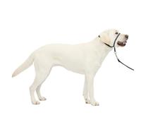 PetSafe Gentle Leader - Collar para la Cabeza de Perro sin tirones, la solución definitiva para Tirar, redirige los tirones de tu Perro para Paseos más fáciles, te Ayuda a recuperar el Control,