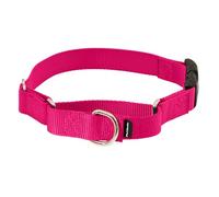 PetSafe Petite Martingale Collar con Hebilla de fijación rápida
