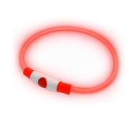 PetSol Collar LED para Perros en Rojo - Collar de Seguridad para Perros y Gatos con Luz Intermitente Recargable por USB - Tamaño Pequeño, Mediano y Grande - Brilla en la Oscuridad para Mayor Seguridad