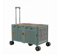 PETSOLA Baúl Plástico con Ruedas Resisn | Caja Plegable con Tapa, para Camping, Verde