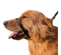 PetsProMax - Collar de cabeza para perro sin tirones (tamaño grande), deja de tirar instantáneamente, collar de entrenamiento suave para perros, solución cómoda, segura y eficaz para caminar/entrenar