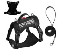 Pettarina para gatos - Pettarina para gatos en red ajustada con anti-espagueti suave | Collar de entrenamiento con una banda reflectante ligera y ajustable para animales pequeños, medianos y grandes