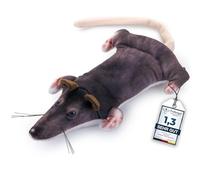 PetTec® - Juguete interactivo para gato eléctrico para gatos (ratón para rata móvil con hierba para gatos, juguete interactivo para gatos, juguete automático para gatos
