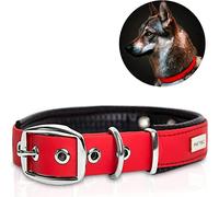 PetTec® Trioflex - Collar para Perro - Ajustable para Razas Grandes, Medianas y Pequeñas - Collar de Cuero Resistente y Cómodo - Ideal para Cachorros y Perros Adultos - Collares Duraderos para Todas