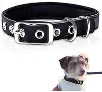 PetTec Trioflex Collar para Perros - Para Cachorros Pequeños, Medianos y Grandes - Acolchados para Perros Grandes - Fuerte e Impermeable - Trenza Textil, Costura Reforzada, Hebilla Doble - Negro