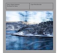 CLARKE, STANLEY / LAGRENE / PONTY - The Road Not Taken