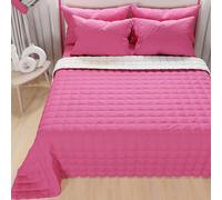 PETTI ARTIGIANI ITALIANI - Colcha en Microfibra Doble Reversible 240x260 cm, Cubre Cama Primavera Doble, Edredón 2 Personas, Fucsia Blanco