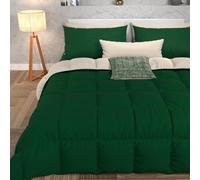 PETTI ARTIGIANI ITALIANI - Edredón Nórdico de Invierno 260x270 cm para Cama 150/180, Edredón Doble Cara Verde, Microfibra Hipoalergénica 300g/m², Cálido y Suave, Made in Italy