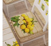 PETTI ARTIGIANI ITALIANI - Set de 6 Cojines para sillas de Cocina con Bandas elásticas | Almohadillas Acolchadas para sillas con Ajuste elástico - Diseño Limón | 100% Fabricado en Italia