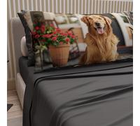 PETTI Artigiani Italiani - Sábanas de Animales con Perros de algodón con Fundas de Almohada de impresión Digital, sábanas de una Plaza y Media, Juego de Cama de una Plaza y Media, Color Gris Oscuro,