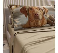 PETTI Artigiani Italiani - Sábanas de animales con perros de algodón con fundas de almohada de impresión digital, sábanas para cama individual, juego de cama individual color pardo, 100% Made in Italy