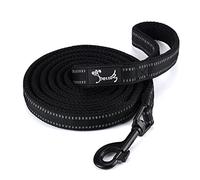PETTOM Correa para Perros Pequeños Grandes Medianos Reflectante Acolchado Suave Cómoda de Usar Evitar Fricción Antideslizante Resistente Nylon con Etiqueta de Nombre Negro (S, 110cm)