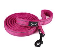 PETTOM Correa para Perros Pequeños Grandes Medianos Reflectante Acolchado Suave Cómoda de Usar Evitar Fricción Antideslizante Resistente Nylon con Etiqueta de Nombre Rosa (S, 110cm)