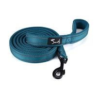 PETTOM Correa para Perros Pequeños Grandes Medianos Reflectante Acolchado Suave Cómoda de Usar Evitar Fricción Antideslizante Resistente Nylon con Etiqueta de Nombre Azul (S, 110cm)