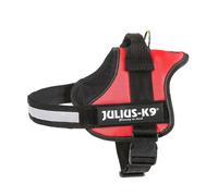 Arnés de potencia Trixie Julius-K9 | Negro para perros | 0 / M