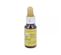 Petunia (20 ml) - Pack de 2 Unidades (Total 40 ml)
