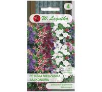 Petunia de jardín con tallos colgantes, mezcla para balcón