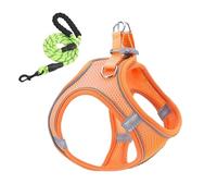 Peufcmi Arnés Y Correa para Perros | Combo De Arnés De Malla Y Correas para Perro,Transpirable A Prueba De Fugados para Cachorros Gatos En Paseos Visitas Veterinarias Camping Entrenamiento