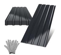 Peviasot Juego de chapas trapezoidales para techo 12 piezas 115×45 cm Antracita, chapa de acero de 0,25 mm para casa de jardín, cobertizo de herramientas, incluye guantes, aproximadamente 6 m²