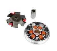 Pexorin Kit de variador Rodillos Carreras 16x13 mm 9 g, for 50 Buxy M Vivacity Speedake Speedfight 1 2 Splinter Squab TKR 50cc Rodillo de accionamiento de Tablero eléctrico